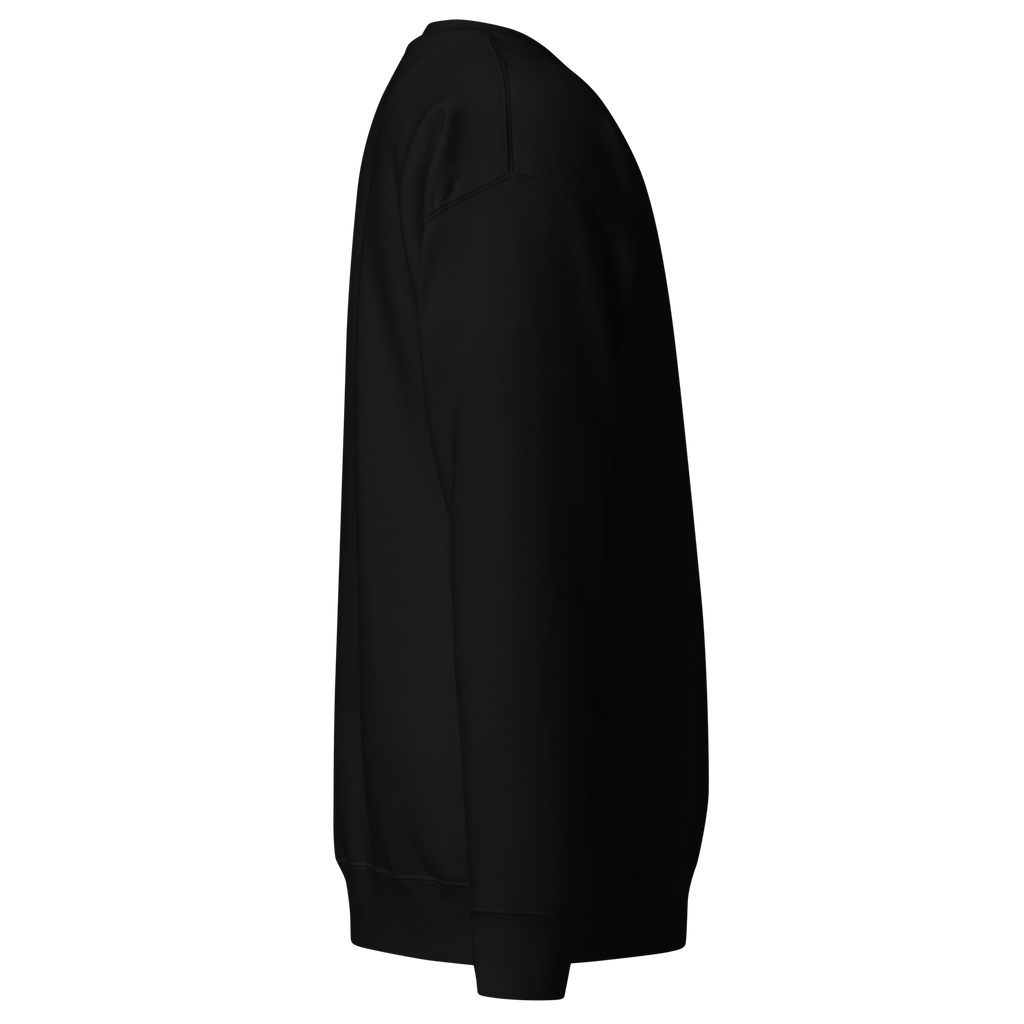 Black sweatshirt, right side in 3d